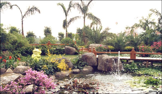第四屆中國(guó)國(guó)際園林花卉博覽會(huì).jpg
